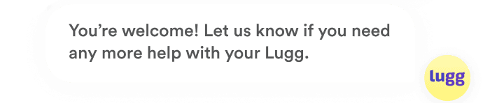 Support agent response