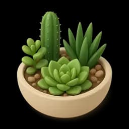 Succulents