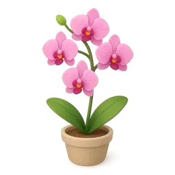 Orchids