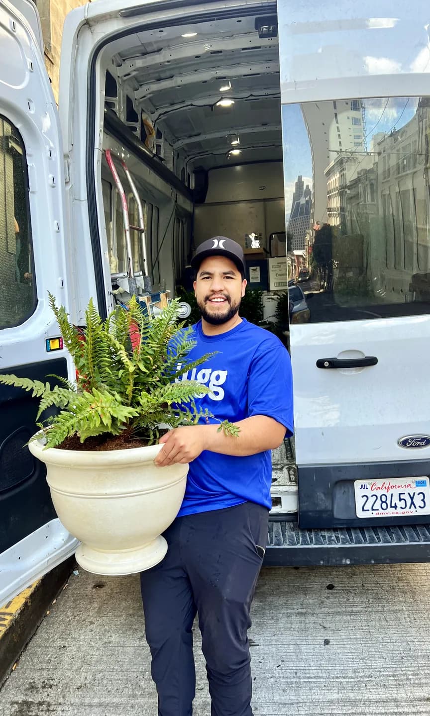 A Lugger carrying a potted plant out of a van