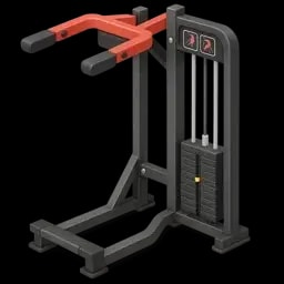 Weights
