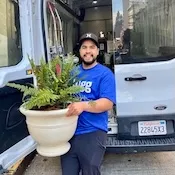 Lugger with plant