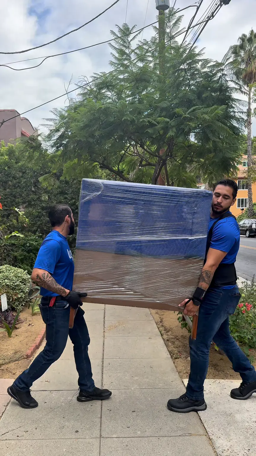 Two Luggers carrying a wrapped dresser through a garden