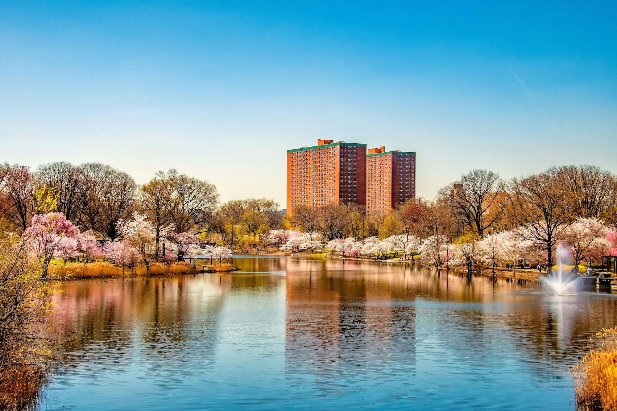 Newark, NJ