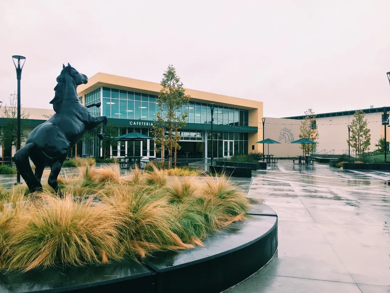 Cupertino, CA