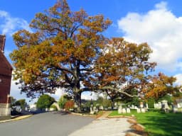 Manchester, Maryland