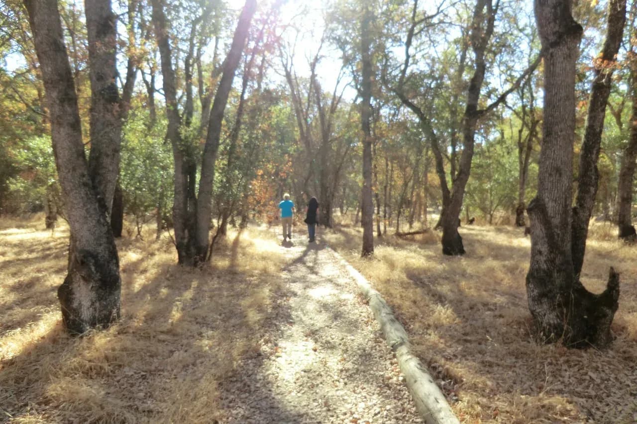 Orangevale, CA