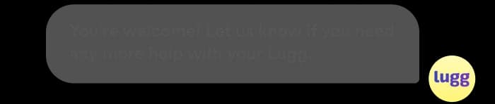 Support agent response