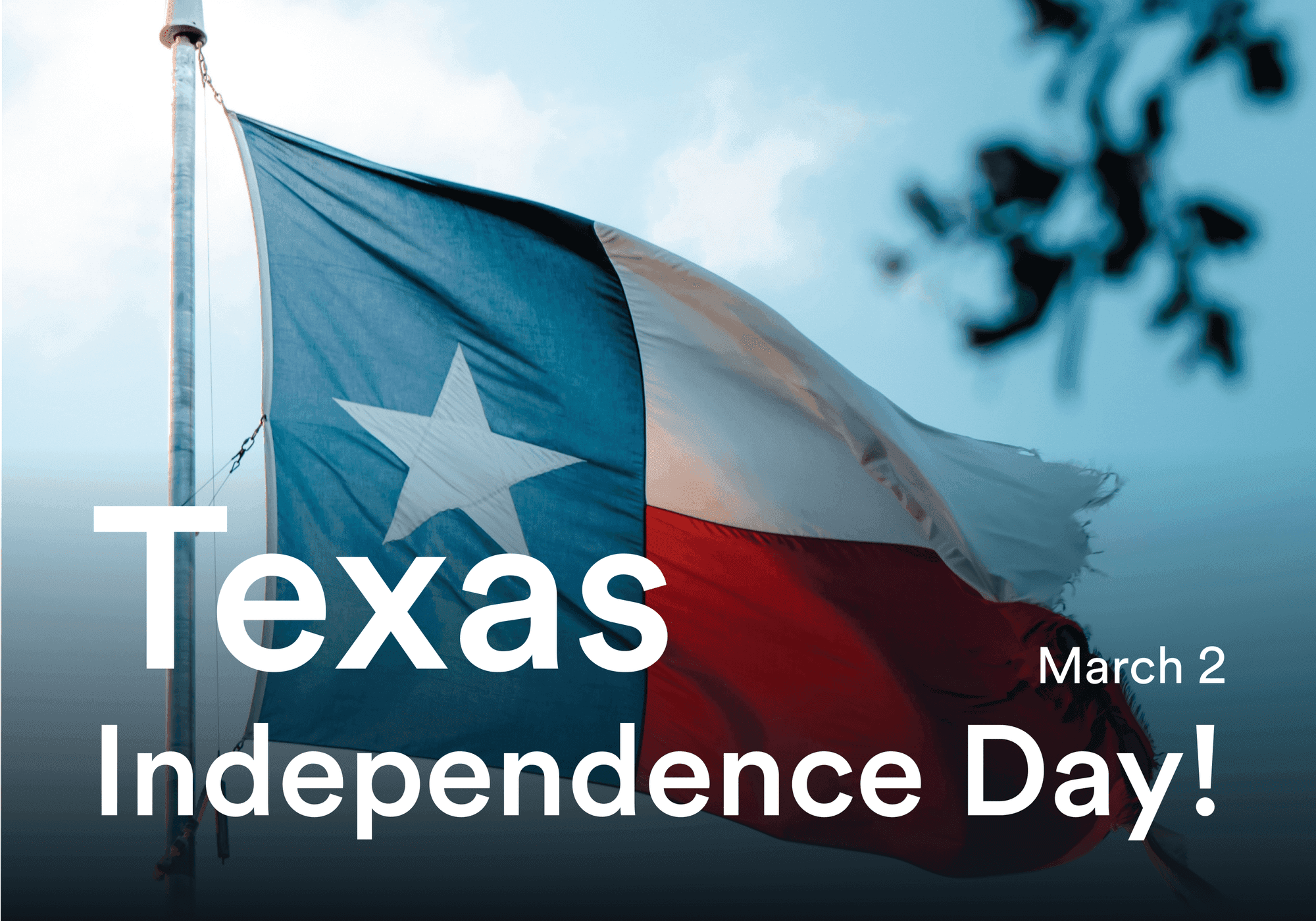 Saluting Texas Businesses
